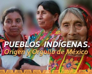 Pueblos Indígenas